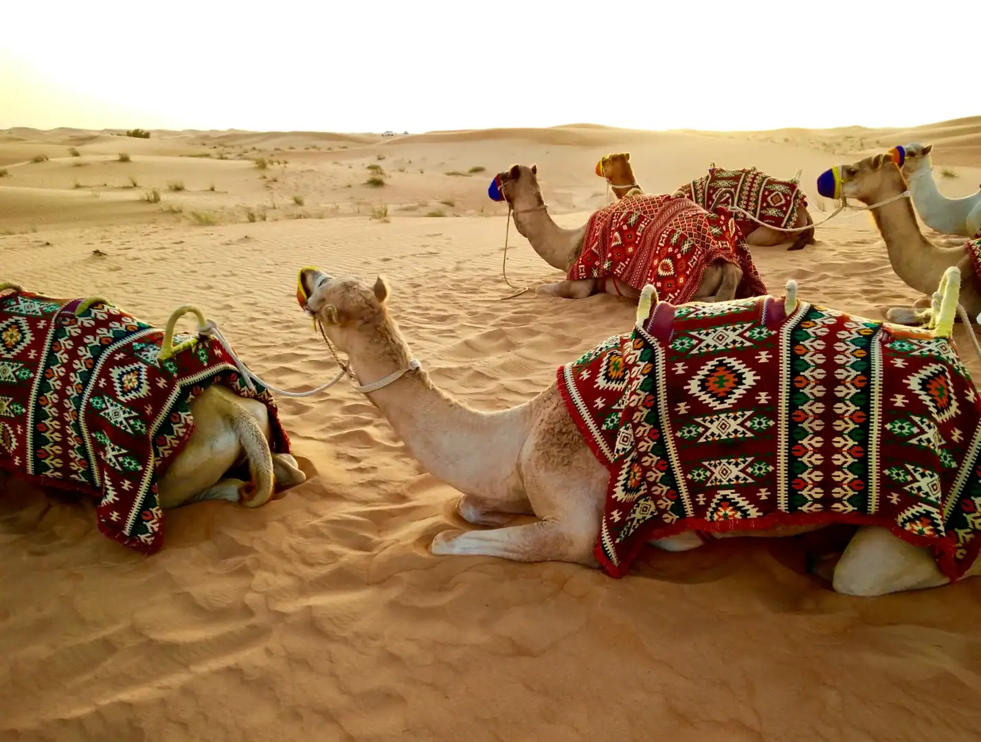 Emerald Travel Luxe Vakantie Dubai Woestijn Ervaring