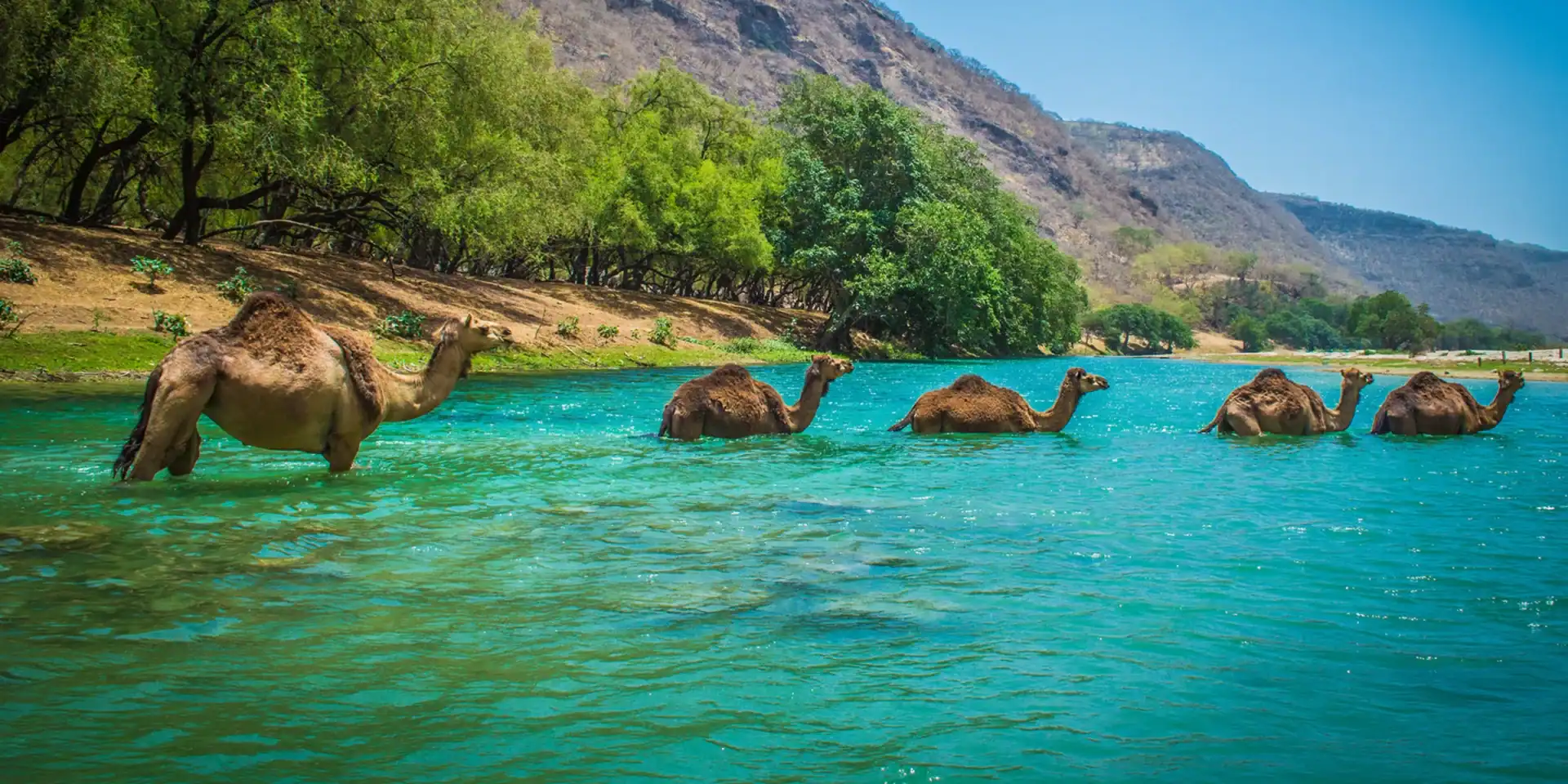 Emerald Travel Luxe Vakantie Oman Dhofar