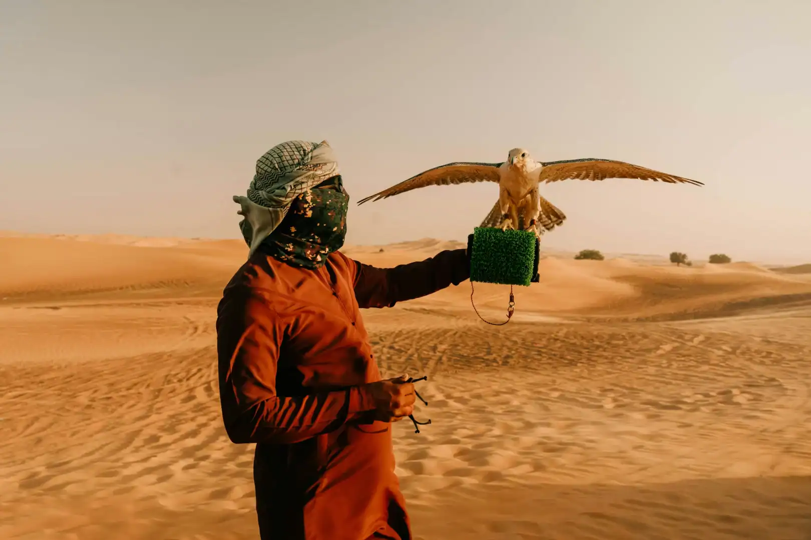 Emerald Travel Luxe Vakantie Ras Alkhaimah Woestijn Valk