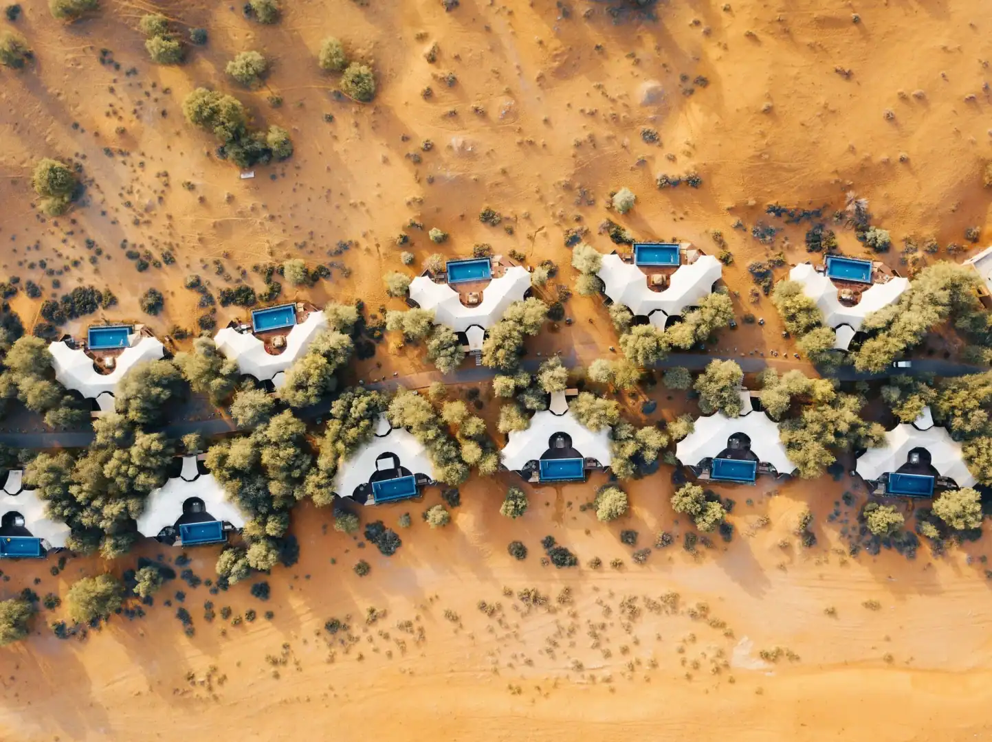 Emerald Travel Ras Al Khaimah The Ritz Carlton Al Wadi Desert
