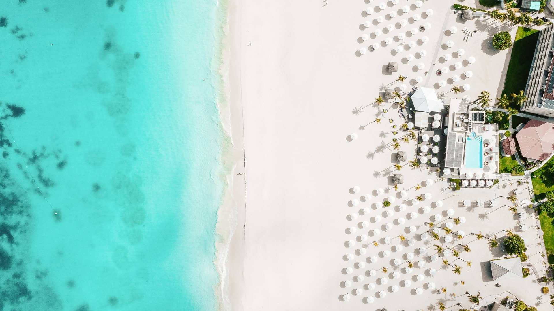 Bucuti Tara Beach Resort Overzicht