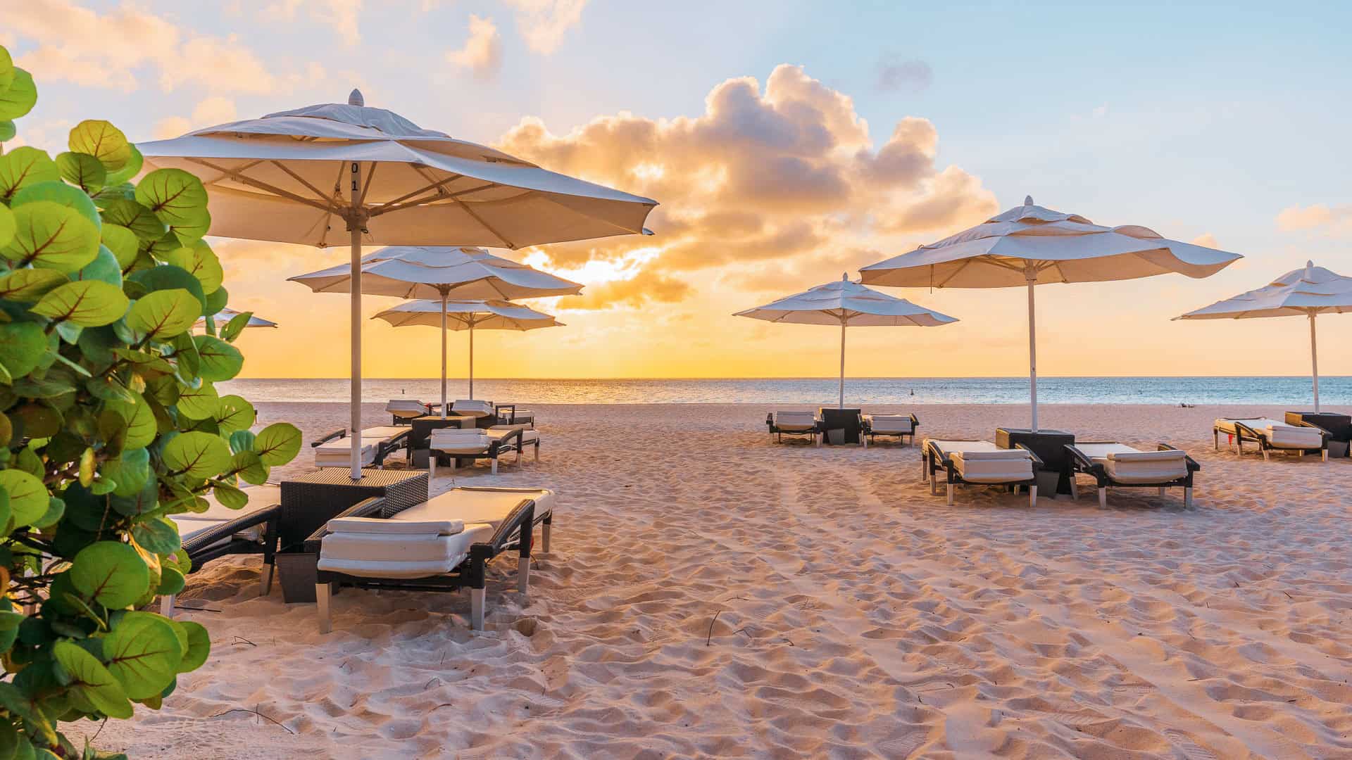 Bucuti Tara Beach Resort Strand
