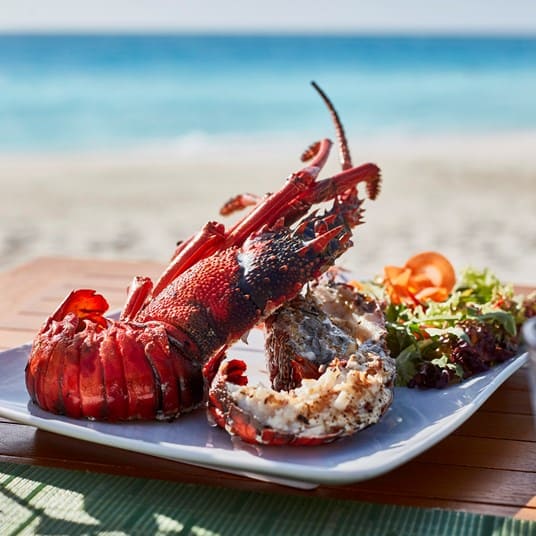 Sun Siyam Iru Veli Malediven Culinair