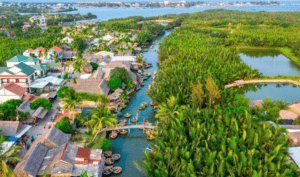 Vietnam Cam Thanh