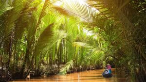 Vietnam Mekong Delta