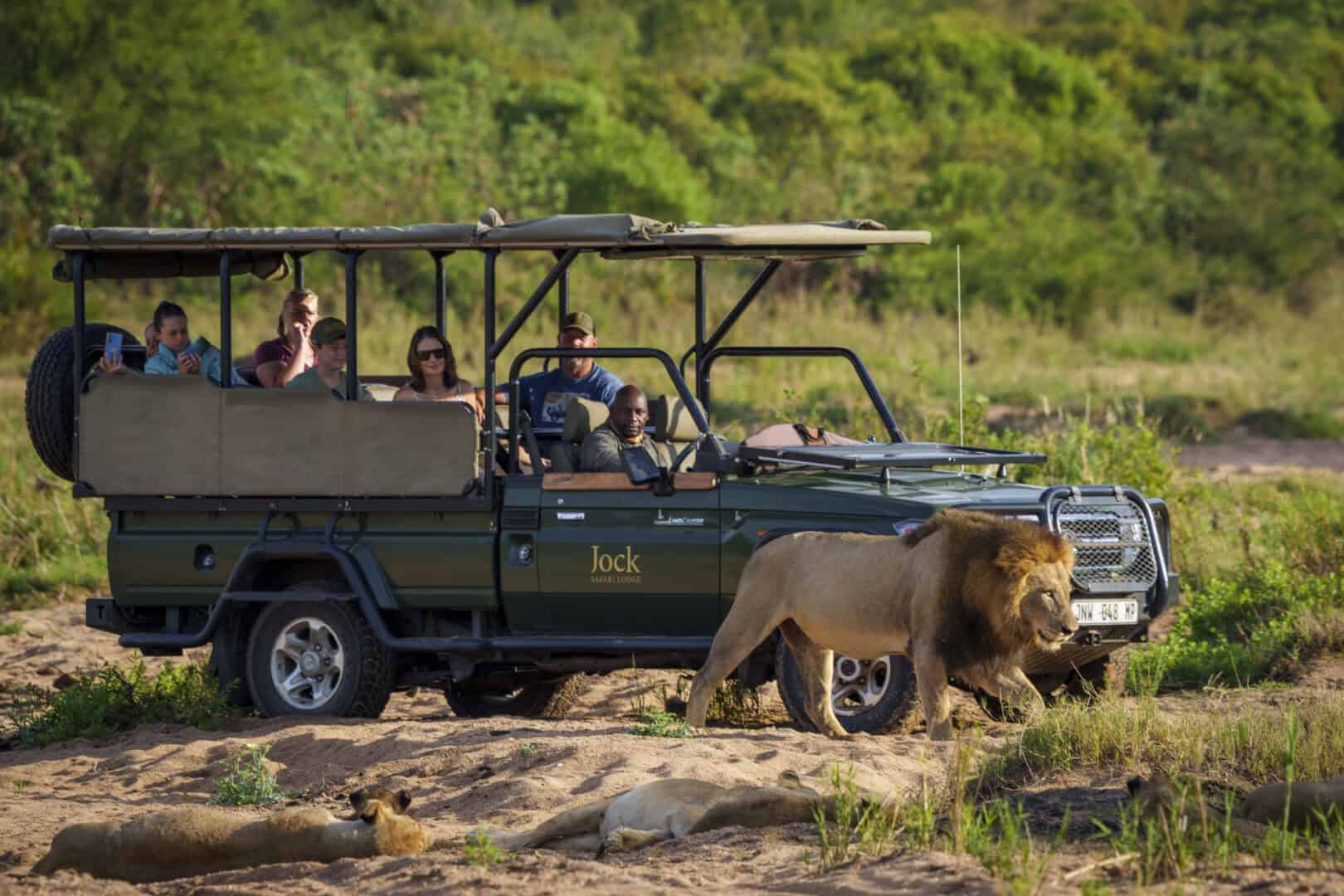 Zuid Afrika Krugerpark Jock Safari Lodge2
