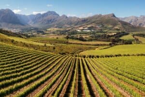 Zuid Afrika Stellenbosch