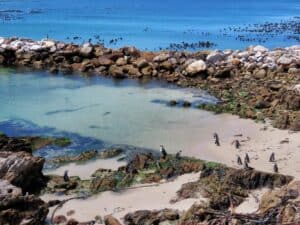 Zuid Afrika Stony Point