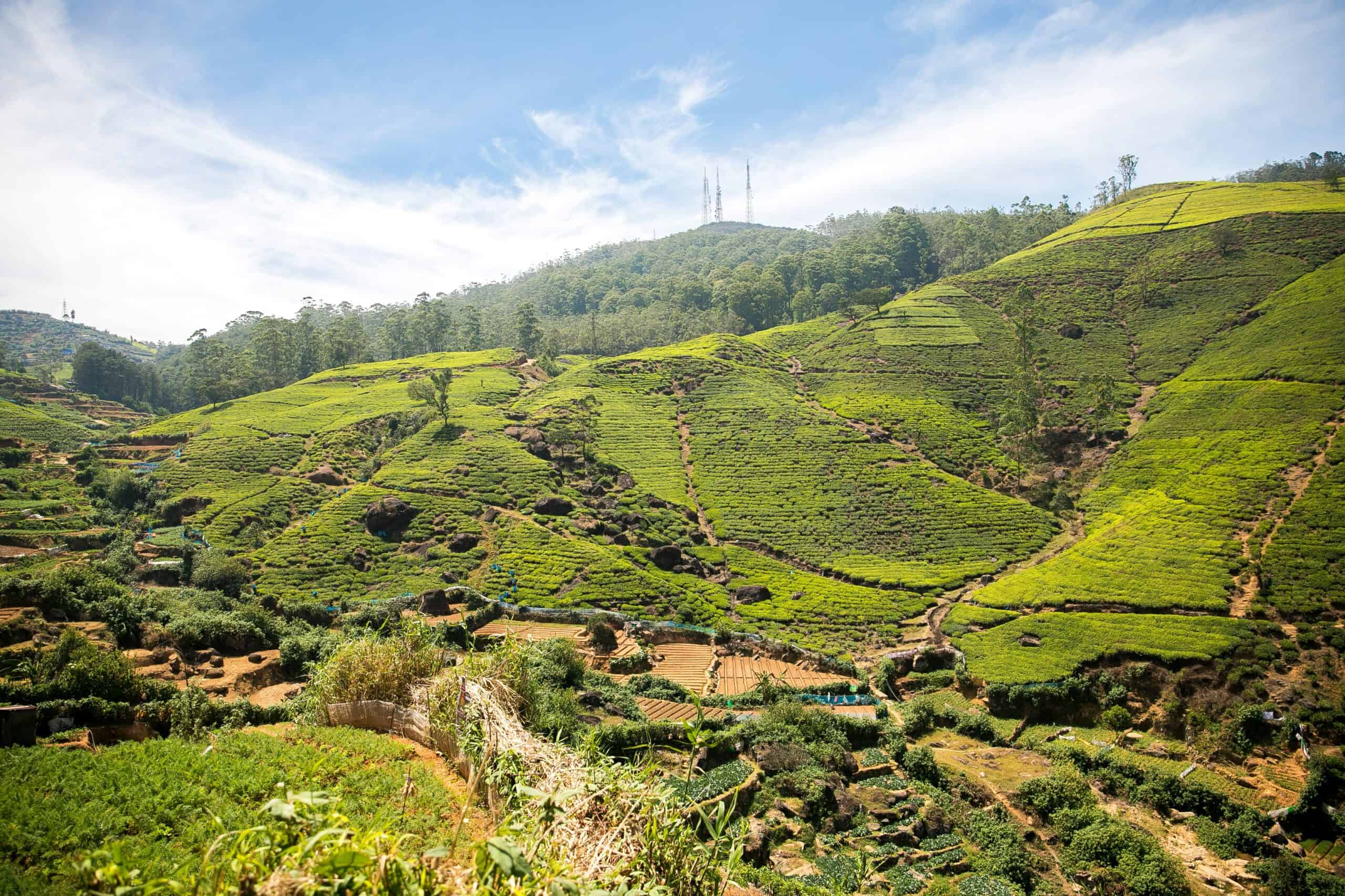 Emerald Travel Luxe Rondreis Sri Lanka Nuwara Eliya
