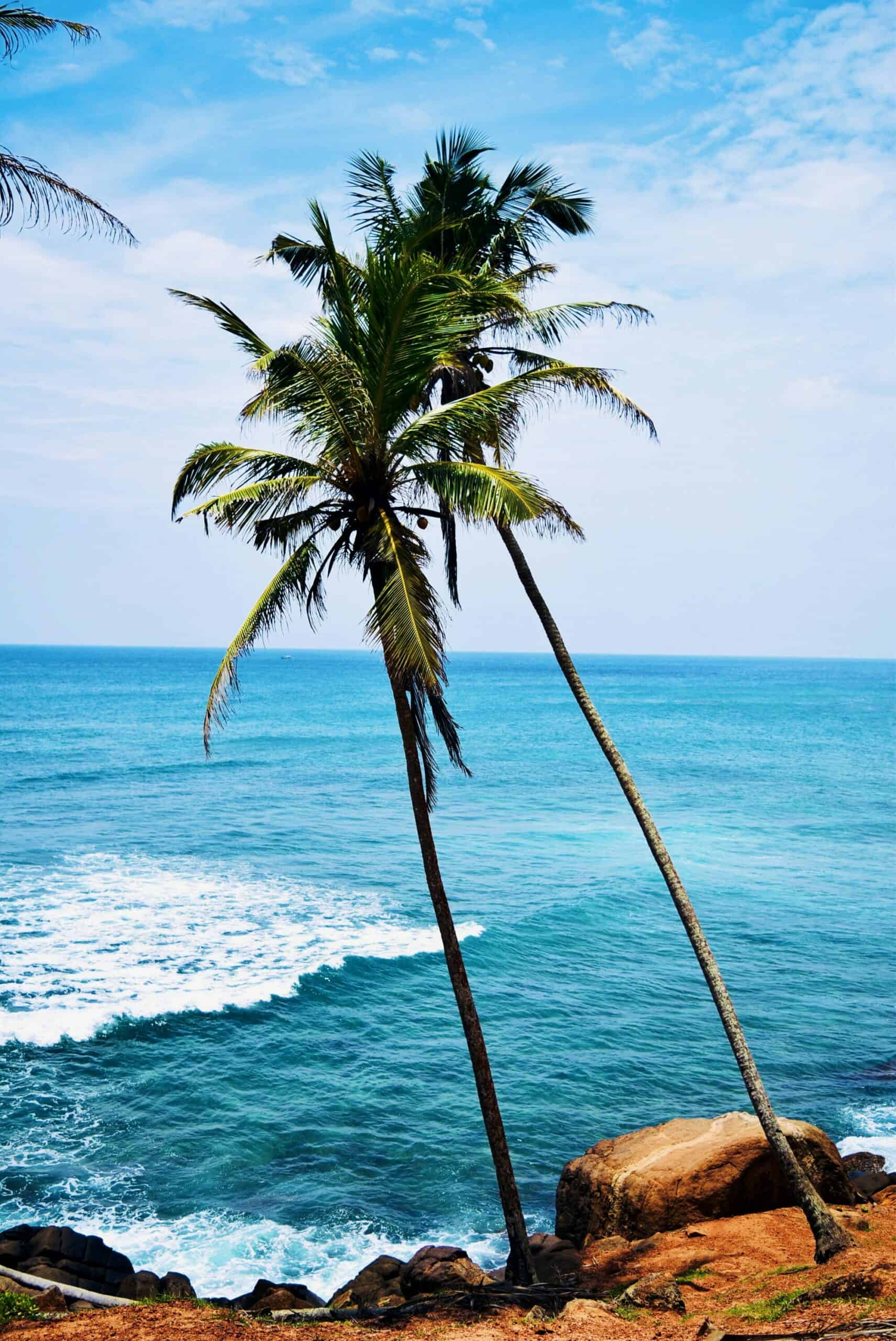 Emerald Travel Luxe Rondreis Sri Lanka Tangalle Strand